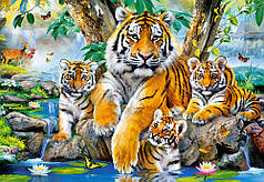 Пазли Сім'я тигрів біля струмка на 1000 елементів