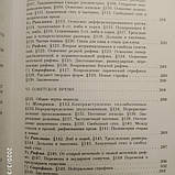 Нарис історії російського вірша Гаспаров М. Л., фото 8