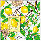 Салфетки Люксі 33*33 3сл. Лимони