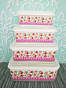 Набір лотків, лоточки, судочки, лоток, судок, контейнер для їжі 4шт | Лотки харчові