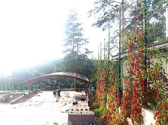 Навес для 2-х автомобилей 8х7 м. 5