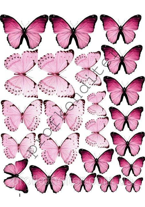 Вафельна картинка "Метелики" - 12, фото 1