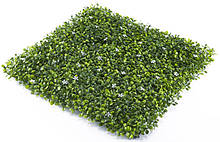 Декоративне зелене покриття Фитостена Самшит з квіткою 50х50 см