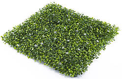 Декоративне зелене покриття Фітостена Самшит із квіткою 50х50 см