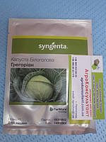 Насіння капусти Грегоріан F1 (Syngenta) 2500 насінин ― середньостигла (65-70 днів), білокачанна