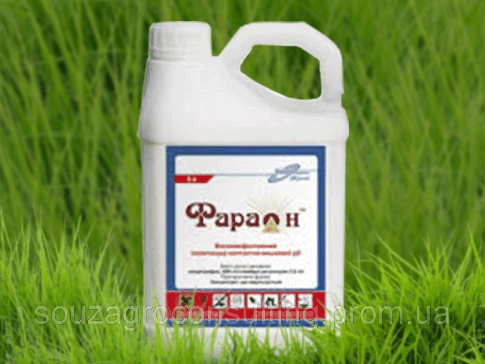 Инсектицид ФАРАОН 10л