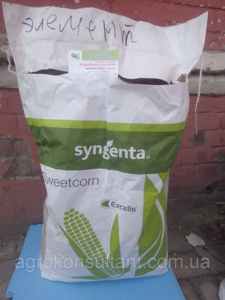 Кукурудза цукрова солодка Елемент F1 (Syngenta), 100 000 насіння