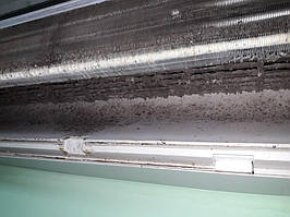 Только посмотрите что может быть внутри блока кондиционера! И эти вы дышите!