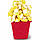 Набір для ліплення Попкорн-Вечірка До Плей Hasbro Е5110, фото 6