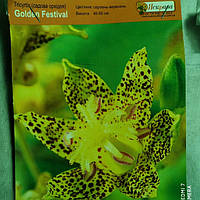 Трицитис (садова орхідея) Golden Festival