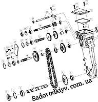 Цепь привода на культиватор Oleo-Mac MH 197/198 RK/S