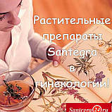 Бад гормоноподібний Червоний конюшина жіноча трава від Santegra печива лімфопатія клімакс псоріаз, фото 3