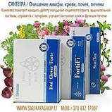 Бад гормоноподібний Червоний конюшина жіноча трава від Santegra печива лімфопатія клімакс псоріаз, фото 4