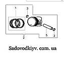 Кільця на культиватор Oleo-Mac MH 150/180/175/185/197/198 RK/S, фото 2