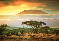 Пазл 1000 элементов / Гора Килиманджаро