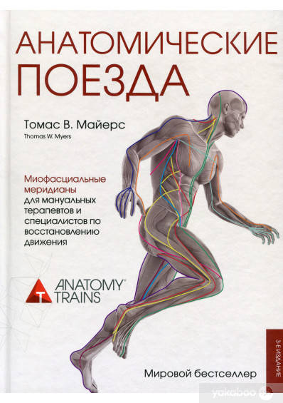 

Анатомические поезда