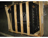 Радиатор охлаждения Т-150, СК-6, НИВА, КС6Б, КС6Б-01, КС6Б-02 (5-х рядный) | Бузулук