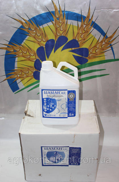 Аққұба бұзық досын байлап, оған жақсы минет жасады