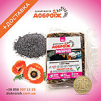 Жива Халва з пророщеного насіння "Марія" 50 г