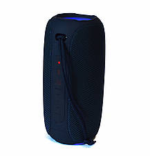 Колонка Hopestar P20 Party, фото 2