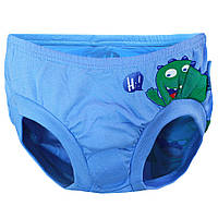Труси дитячі бавовняні для хлопчика на памперс-2 GABBI Блакитний на зріст 68-74 (11705)