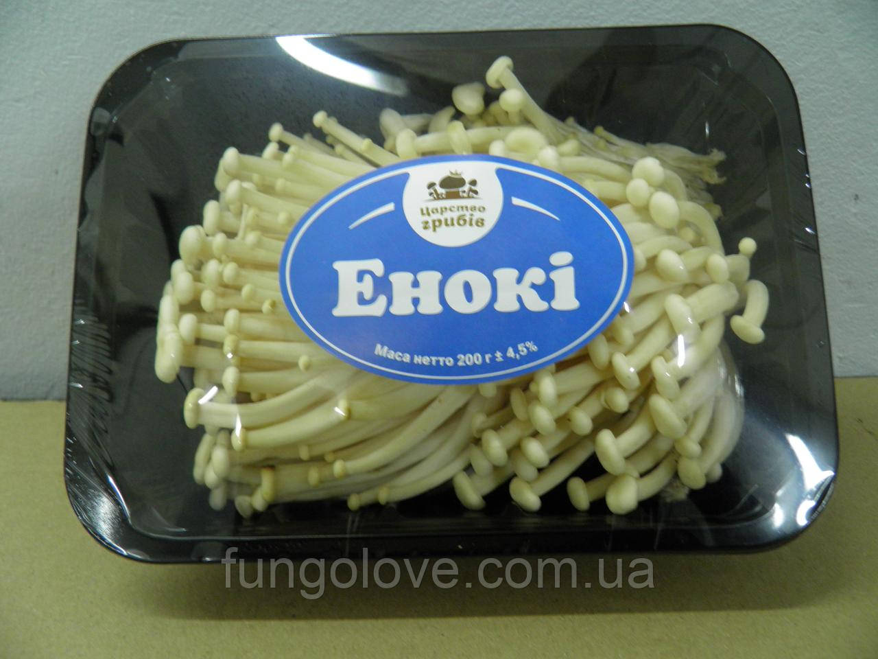Еноки (зимовий обенок) Flammulina velutipes в пакованні 200 г