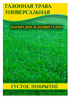 Насіння газонної трави Універсальна, 100 г
