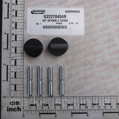 G22270454 Хрестина кардану Gaspardo