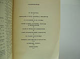 Паванко Н.І. Олександр Данилович Меншиков (б/у)., фото 6