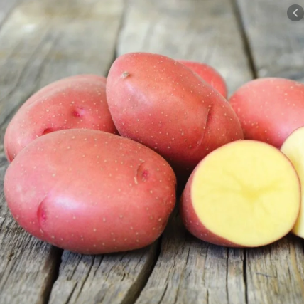 Запобігання весна 2022-Сім'яної картопля Еволюшин 1 репродукція 2,5 кг, фото 2