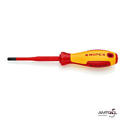 Викрутка 1000V PlusMinus (Sl і PZ) — Knipex 98 25 02 SLS