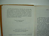 Достяг І.С. Російська громадська думка та балканські держави (б/у)., фото 5