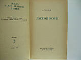 Морозів А. Ломоносів (б/у)., фото 4
