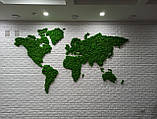 Фітостіни, озеленення приміщень, карта світу зі стабілізованого моху - декор з моху на стіні від 1 м кв, фото 6