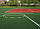 Гумове підлогове наливне покриття ALFLOR для спортивних майданчиків, фото 5