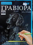 Гравюра А4 Собачка Срібло, фото 3