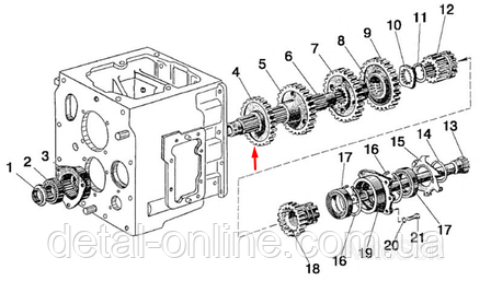 50-1701218 Шестерня V передачі та з. х., фото 2