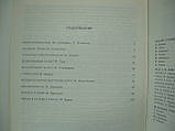 Єрмолаїв А. Збірник статей (б/у)., фото 7