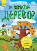 Енциклопедія A5 "Моя перша енциклопедія.Як виростає дерево?"(укр.) №8291/Ранок(20)