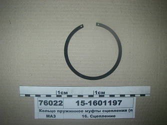 Кільце пружинне муфти зчеплення (вир-во Білорусь) 15-1601197
