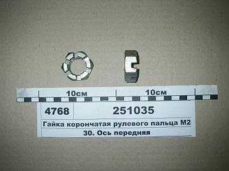 Гайка корончатая рульового пальця М24х2 (S. I. L. A.) 251035