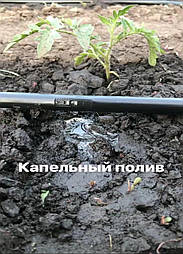 Підбираємо крапельний полив: що краще стрічка або трубка?