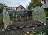 Каркас теплиці "Західна-4" 3х4х2м, труба 20х20х2 мм, фото 8