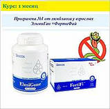 Refungin (Рефунгін) — очищення від паразитів і кандидозу Santegra Сантегра, фото 2