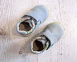 Дитячі демісезонні черевики колір блакитний розмір 21 Groovy №364-2vis, фото 4