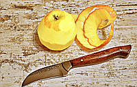 Базовий кухонний ніж для чищення фруктів і овочів з дубовою ручкою, 40Х13, 19 см