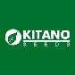 KS 38 F1 100 шт АСАНО Kitano Seeds Індетермінантний Томат Насіння (Індетермінантний Томат Насіння), фото 4