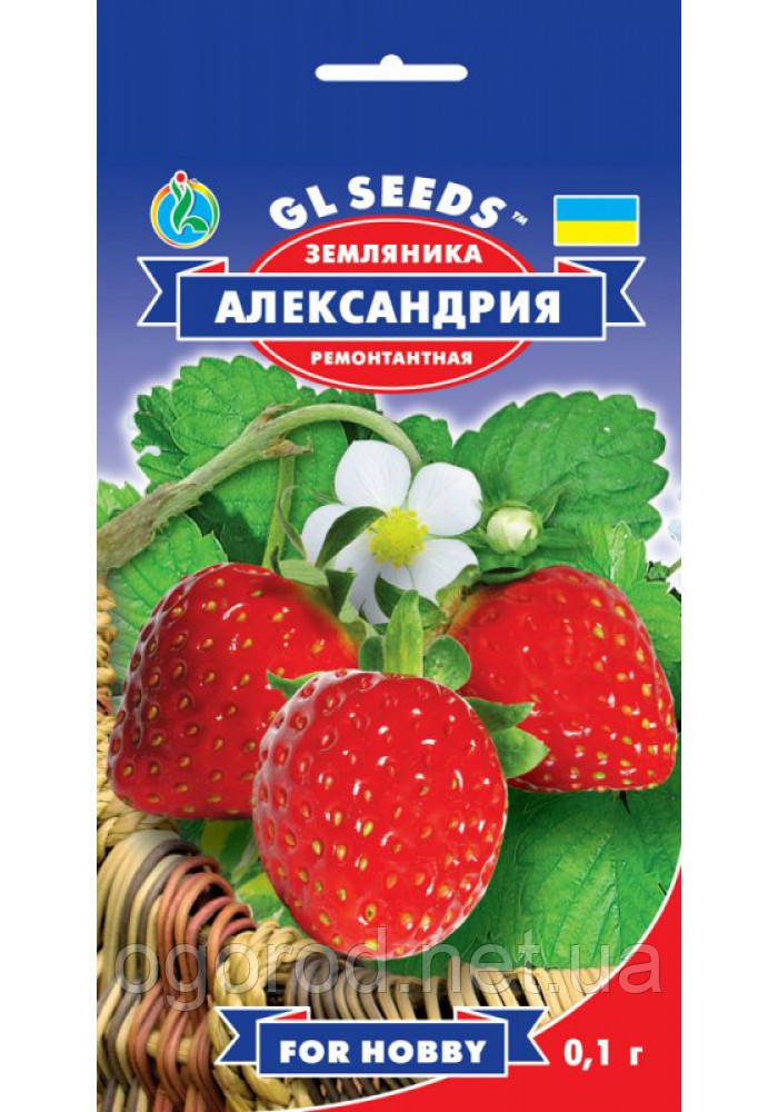 Суниця Олександрія насіння GL Seeds