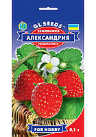 Суниця Олександрія насіння GL Seeds