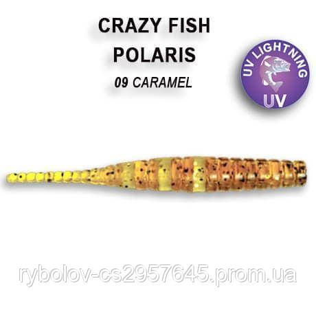 Силікон Crazy Fish Polaris 1.8" 5-45-9-3 смажена риба